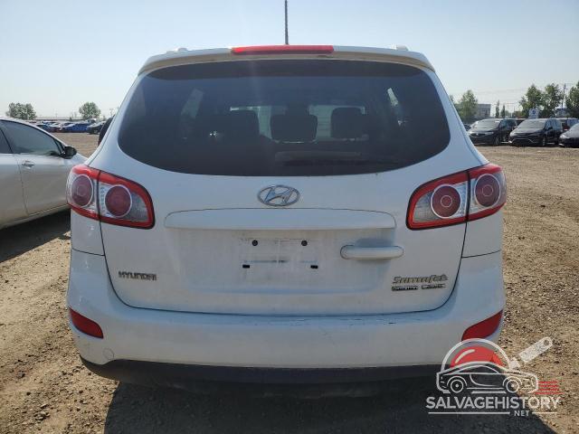 5NMSGDAG8AH406973 2010 HYUNDAI SANTA FE photo no. 6