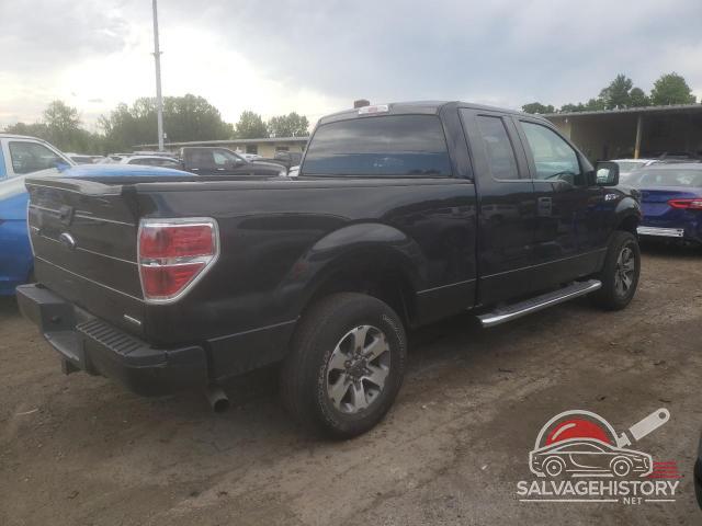 1FTFX1EF5DFD89181 2013 FORD F-150 photo no. 3