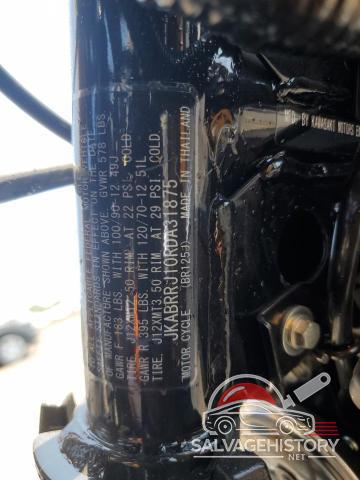 JKABRRJ10RDA31875 2024 KAWASAKI OTHR CYCLE photo no. 10