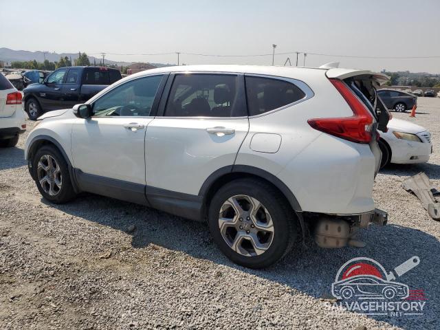 2HKRW1H54JH504650 2025 02 CR-V photo no. 2