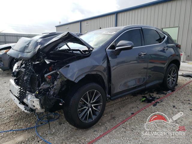 2T2ADCAZ2RC00629X 2024 LEXUS NX 250 BAS photo no. 1