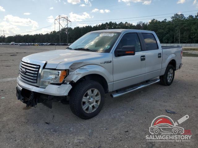 1FTEW1C80AFD62226 2010 FORD F-150 photo no. 7