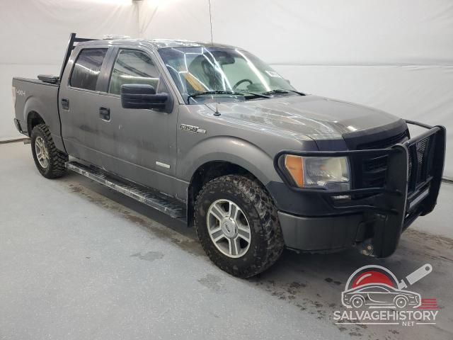 1FTFW1ET7EKD93668 2014 FORD F-150 photo no. 4