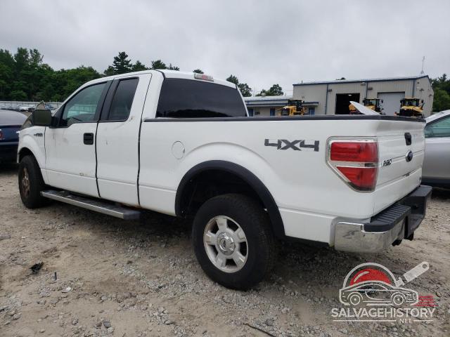 1FTFX1EV1AKB97766 2010 FORD F-150 photo no. 2