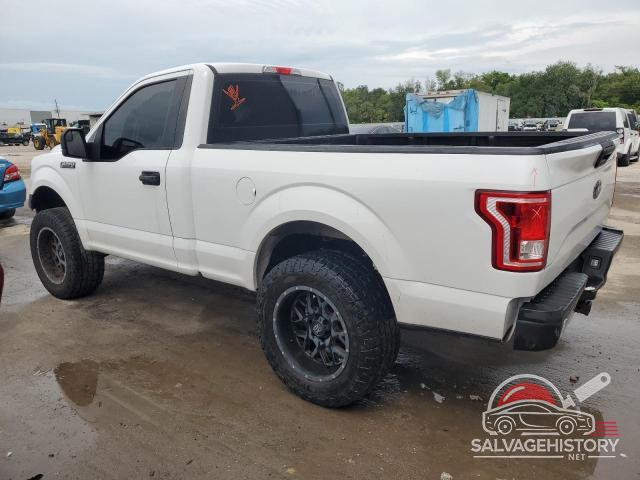 1FTMF1EF6GFD13130 2016 FORD F150 photo no. 2