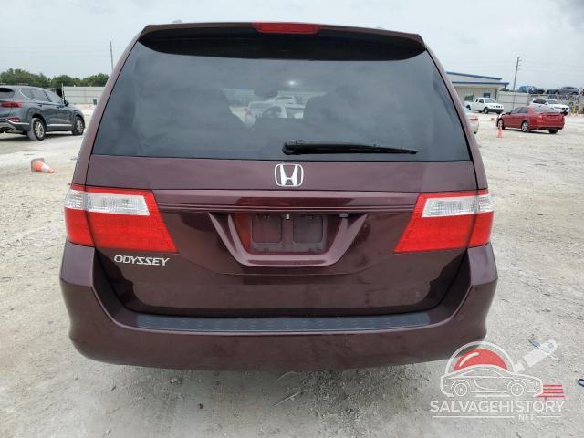 5FNRL38777B425602 2007 HONDA All Models photo no. 6