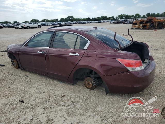 1HGCP3F81BA009490 2011 HONDA ACCORD photo no. 2