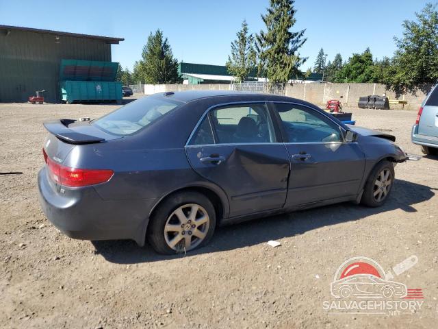 1HGCM66515A067801 2005 HONDA ACCORD photo no. 3