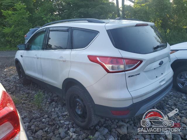 1FMCU0GX3EUC58013 2014 FORD ESCAPE photo no. 2