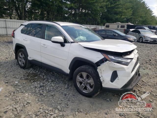 4T3RWRFV8PU099380 2023 TOYOTA RAV4 photo no. 4