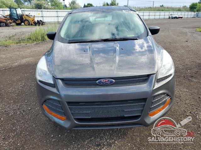1FMCU0F79FUA51130 2015 FORD ESCAPE photo no. 5