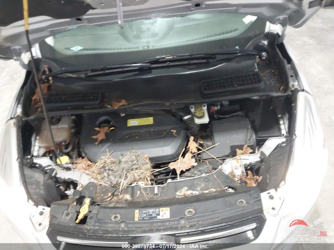 1FMCU0GX7EUB14853 2014 FORD ESCAPE photo no. 10