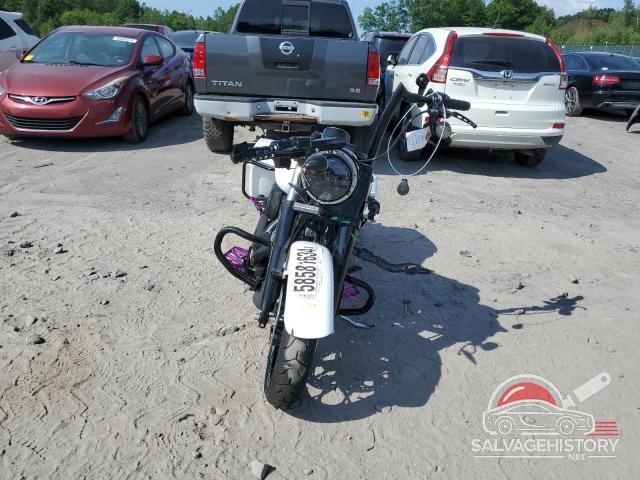 1HD1KVP13RB607276 2024 HARLEY-DAVIDSON FL photo no. 2