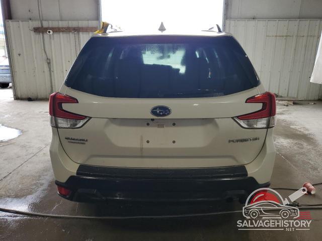 JF2SKAGC0KH404902 2019 SUBARU FORESTER photo no. 6