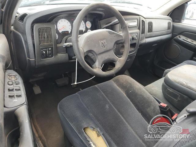 1D7HA18ZX2S521085 2002 DODGE All Models photo no. 8