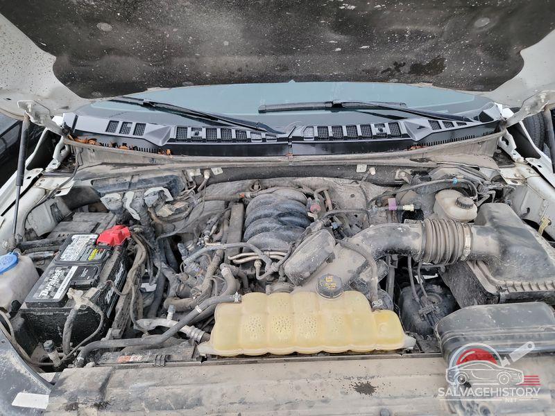 1FTEW1E56KKE38592 2019 FORD F-150 photo no. 5