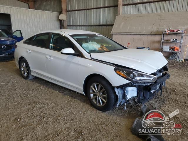 5NPE24AF7KH776075 2019 HYUNDAI SONATA photo no. 4