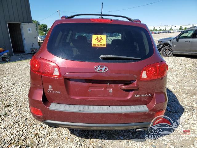 5NMSH13E07H037798 2007 HYUNDAI SANTA FE photo no. 6