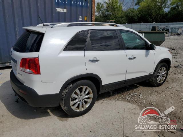 5XYKUDA2XBG034786 2011 KIA SORENTO photo no. 3