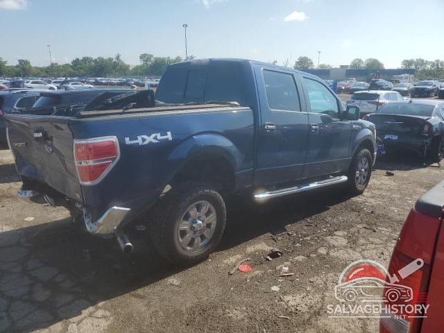 1FTFW1EVXAFC22658 2010 FORD F-150 photo no. 3