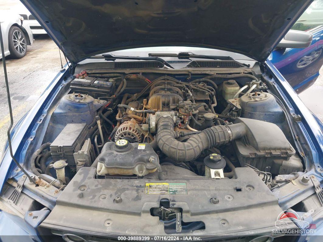 1ZVFT80N165187687 2006 FORD MUSTANG photo no. 10