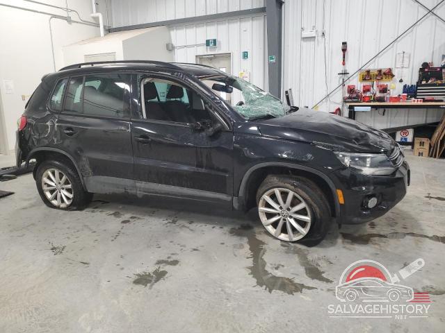 WVGJV7AXXGW610954 2016 VOLKSWAGEN TIGUAN photo no. 4
