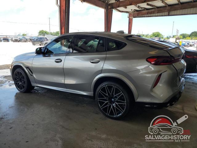 5YMCY0C06L9C91048 2020 BMW X6 photo no. 2
