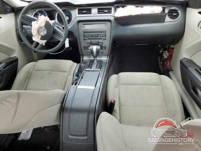 1ZVBP8AN6A5150399 2010 FORD ALL Models photo no. 8