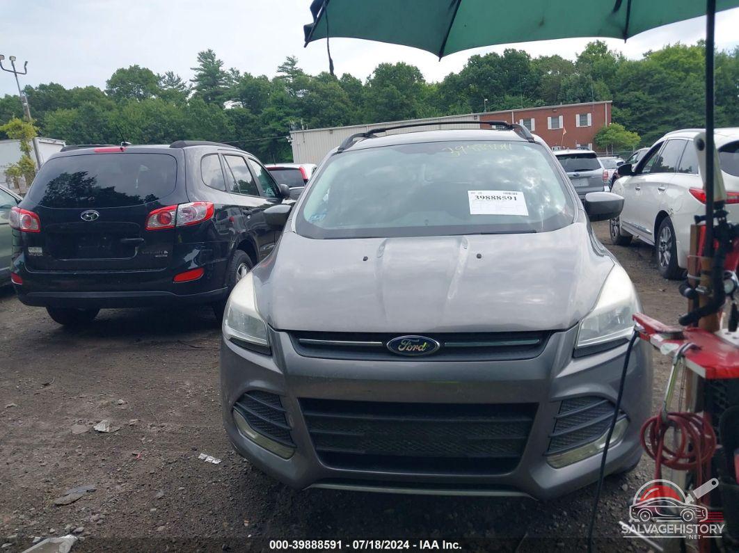 1FMCU9GX4DUA69745 2013 FORD ESCAPE photo no. 6