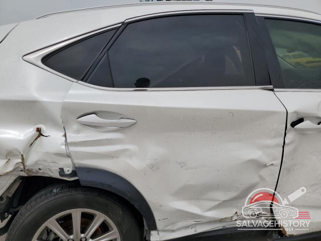 JTJYARBZ4K2155445 2019 LEXUS NX photo no. 10
