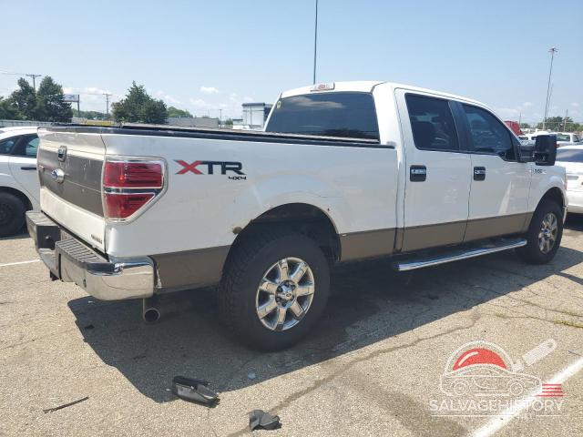 1FTFW1EF9DFB93229 2013 FORD F-150 photo no. 3
