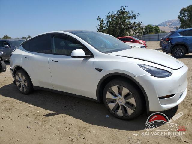 7SAYGDEEXPF660412 2023 TESLA MODEL Y photo no. 4