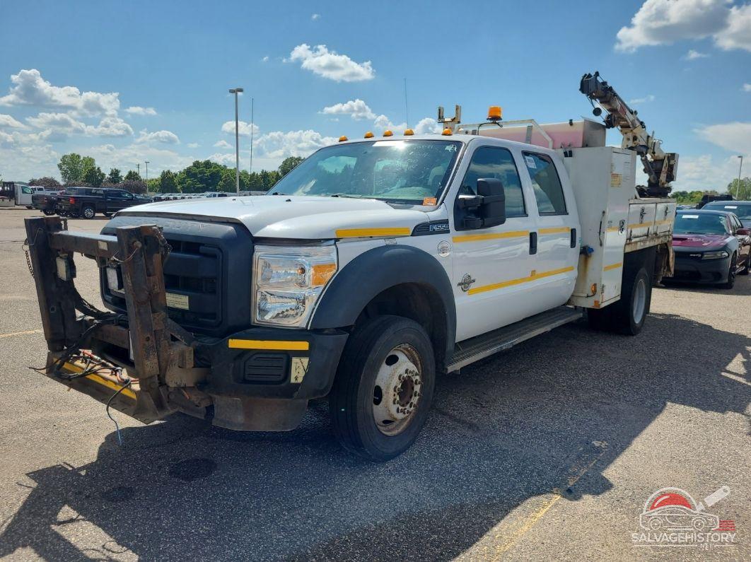 1FD0W5GT4DEA81679 2013 FORD F550 photo no. 10