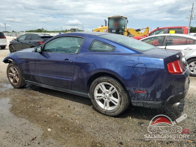 1ZVBP8AM7B5164448 2011 FORD ALL Models photo no. 2