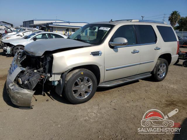 1GYFK63887R317307 2007 CADILLAC ESCALADE photo no. 14