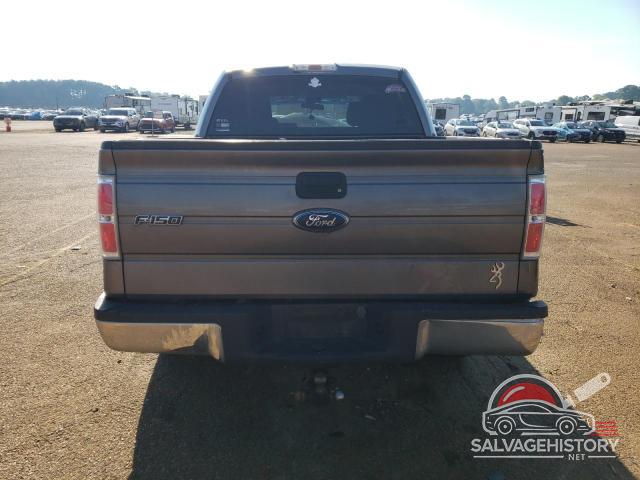 1FTEW1C84AFC31297 2010 FORD F-150 photo no. 6