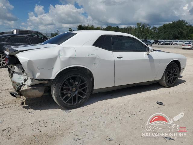 2C3CDYAG5DH719035 2013 DODGE CHALLENGER photo no. 3