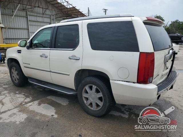 1GYFK63887R132447 2007 CADILLAC ESCALADE photo no. 2