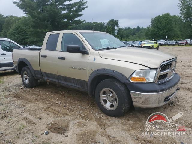 1D7RV1GP6BS525854 2011 DODGE All Models photo no. 4