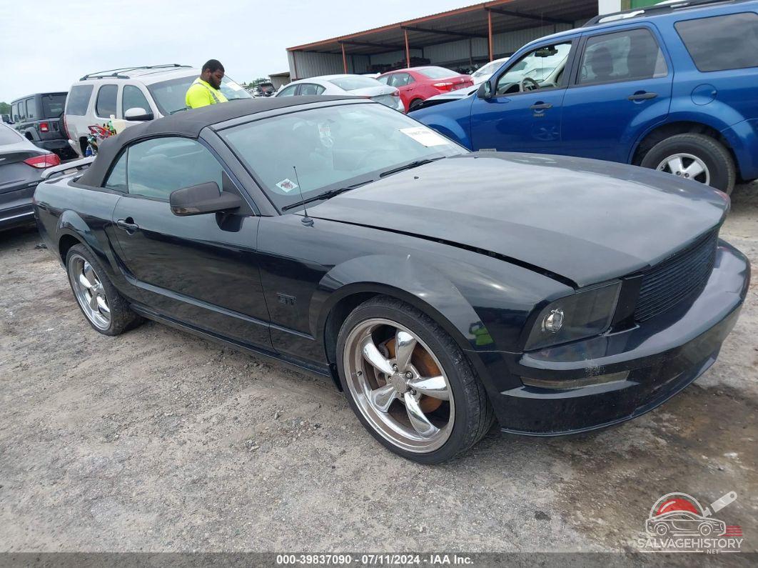 1ZVHT85H165106036 2006 FORD MUSTANG photo no. 5