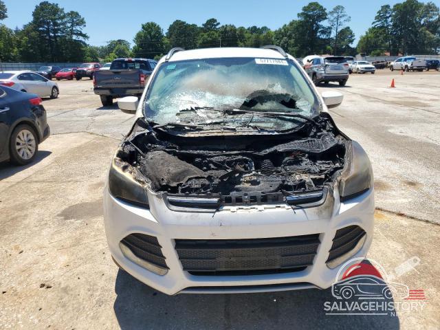 1FMCU0GX4EUA13057 2014 FORD ESCAPE photo no. 5