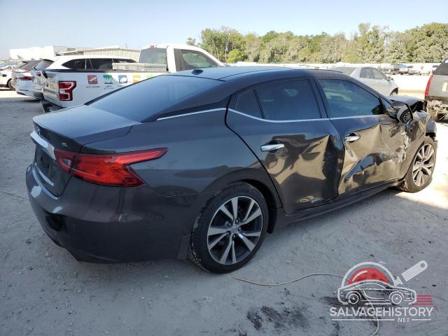 1N4AA6AP1GC394462 2016 NISSAN MAXIMA photo no. 3
