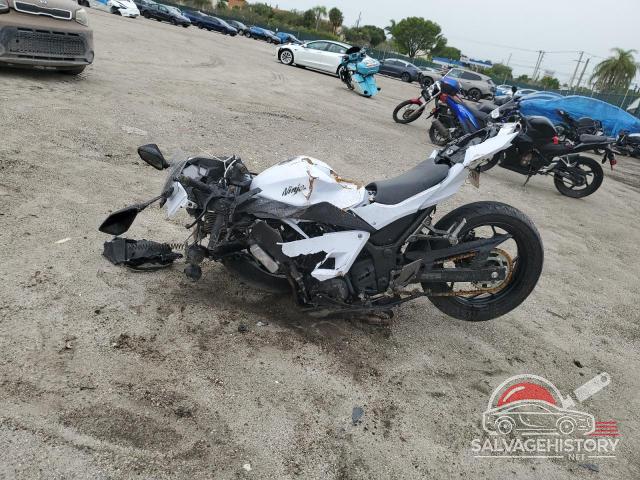 JKAEX8A18DDA00900 2013 KAWASAKI EX photo no. 3