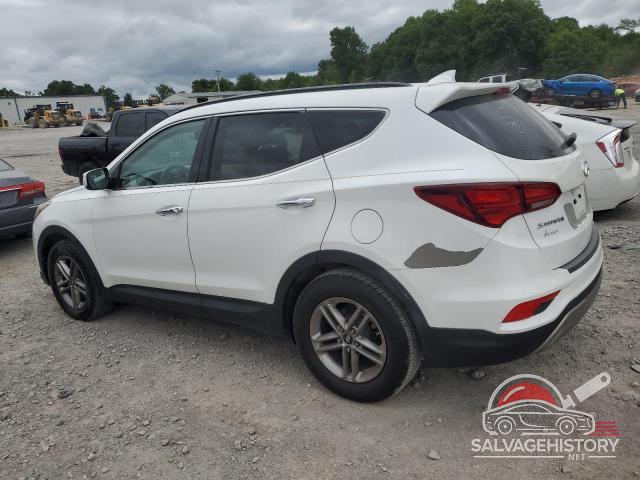 5NMZU3LB3HH019535 2017 HYUNDAI SANTA FE photo no. 2
