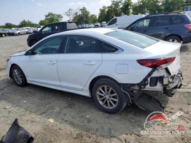 5NPE24AF4KH766376 2019 HYUNDAI SONATA photo no. 2