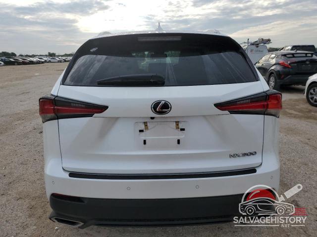JTJYARBZ1K2135976 2019 LEXUS NX photo no. 6