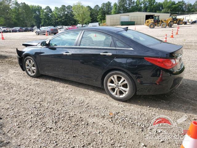 5NPEC4AC7DH518676 2013 HYUNDAI SONATA photo no. 2