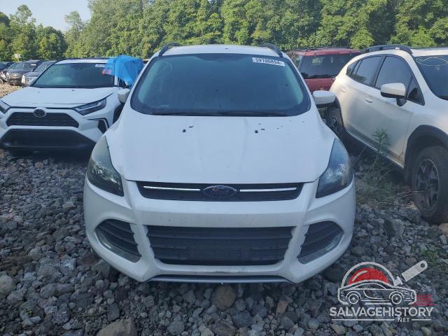1FMCU0GX3EUC58013 2014 FORD ESCAPE photo no. 5