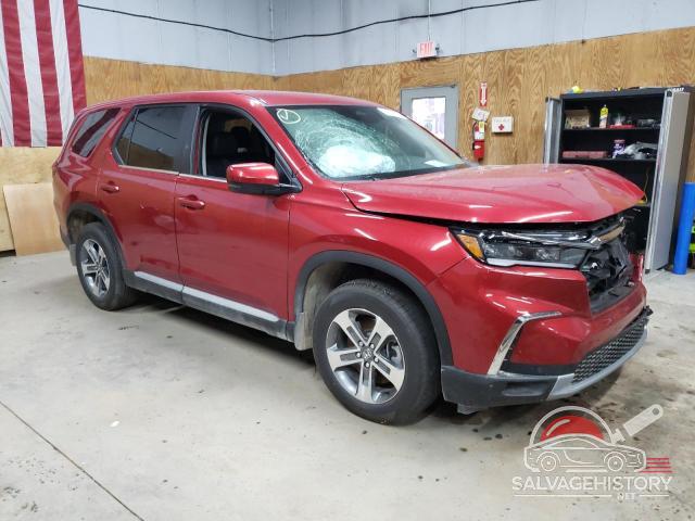 5FNYG1H48RB042751 2024 HONDA PILOT photo no. 4