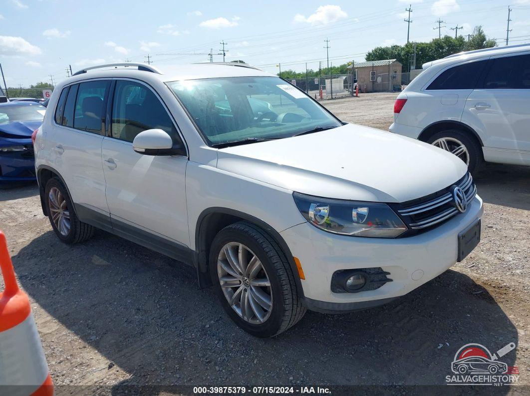 WVGBV3AX9DW607469 2013 VOLKSWAGEN TIGUAN photo no. 11